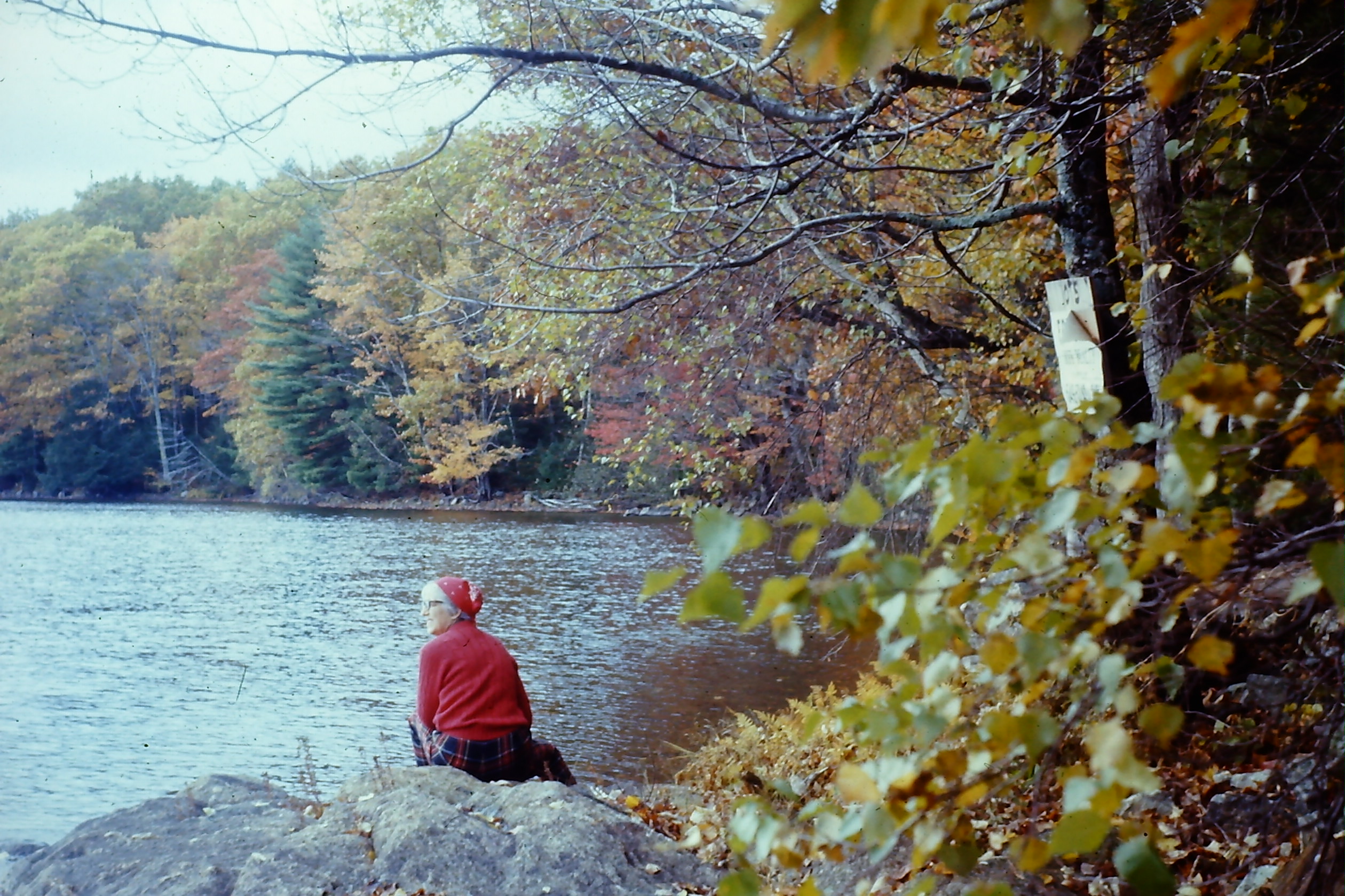 Grandma surveying the waterfront